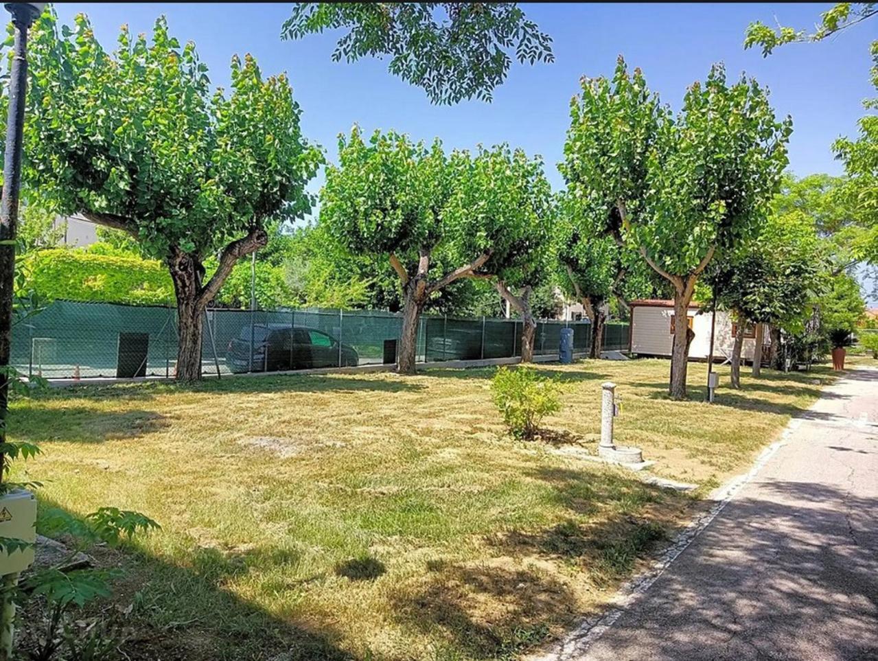 L'Oasi Di Lulu' Hotel Senigallia Luaran gambar