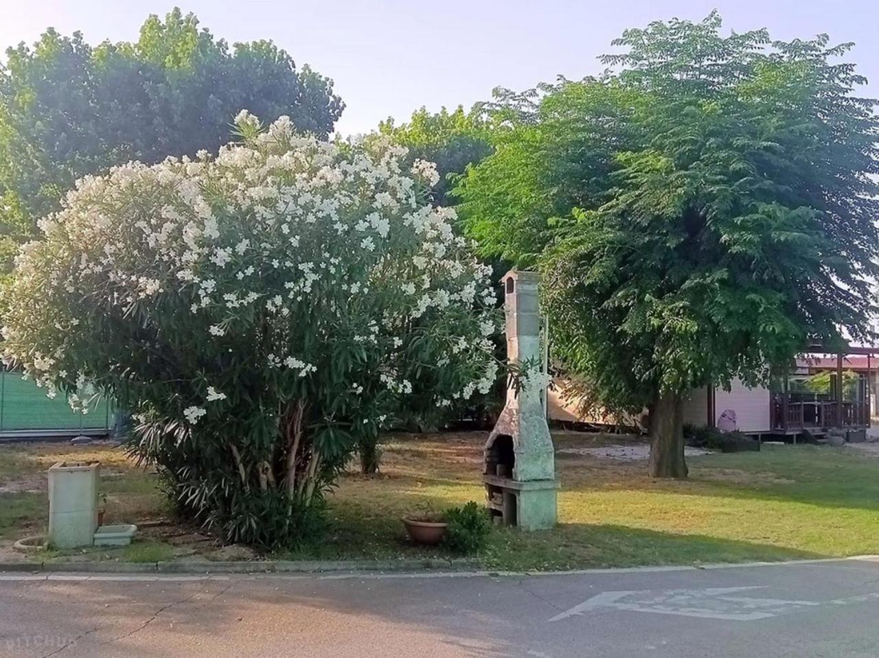 L'Oasi Di Lulu' Hotel Senigallia Luaran gambar